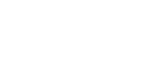 DSM